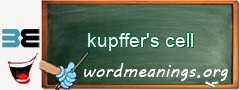 WordMeaning blackboard for kupffer's cell